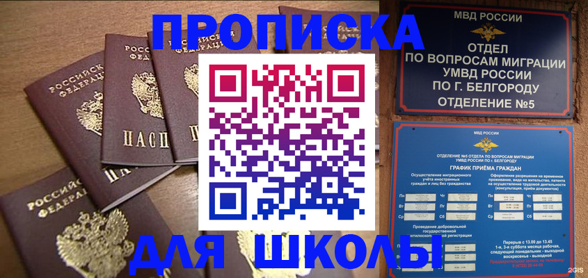 прописка гарантия в Новозыбкове