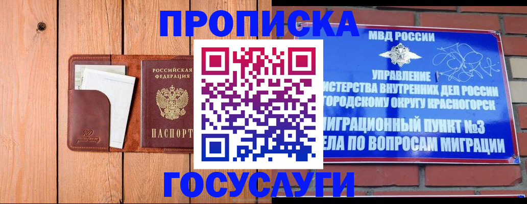 регистрация в Новозыбкове